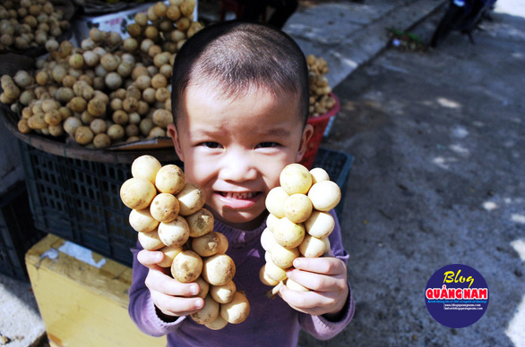 Về Tiên Phước ăn trái bòn bon - Ảnh 16.